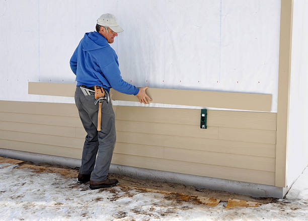 Best Storm Damage Siding Repair  in Lapeer, MI